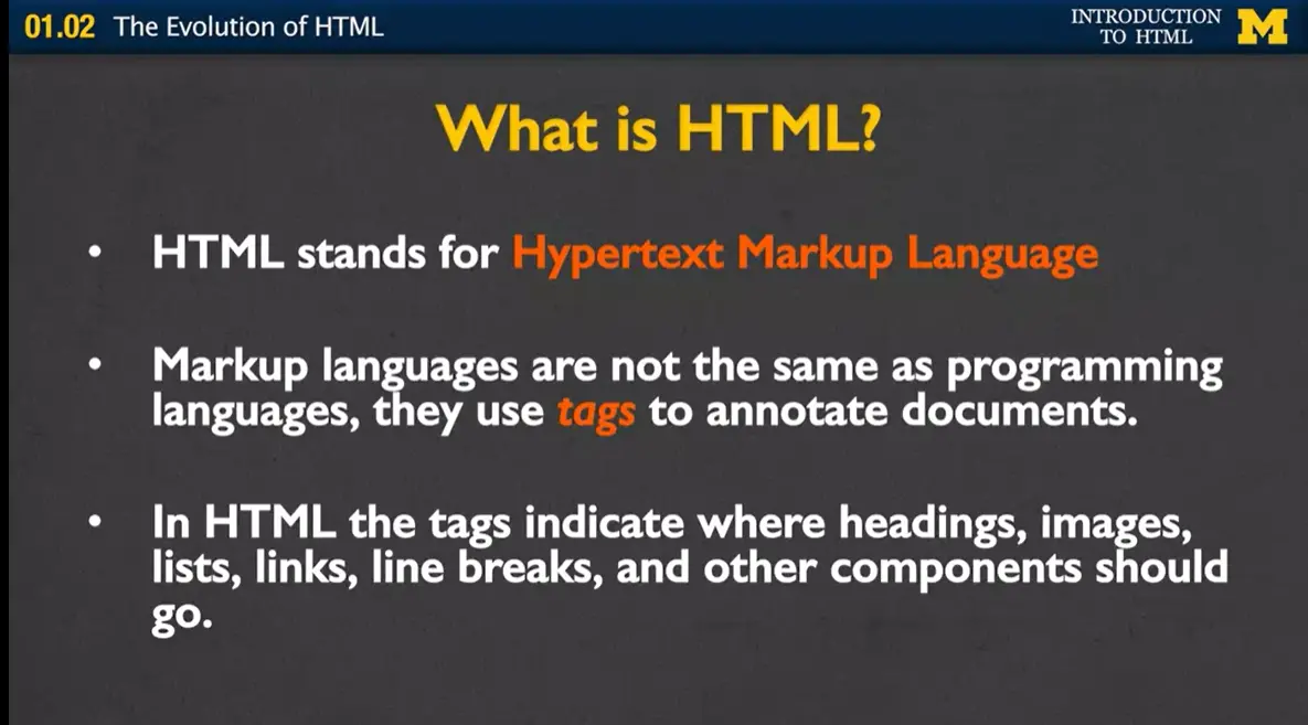 What is HTML?