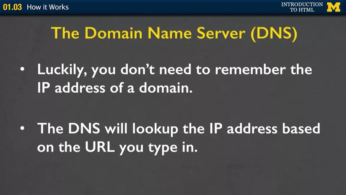 The Domain Name Server (DNS).