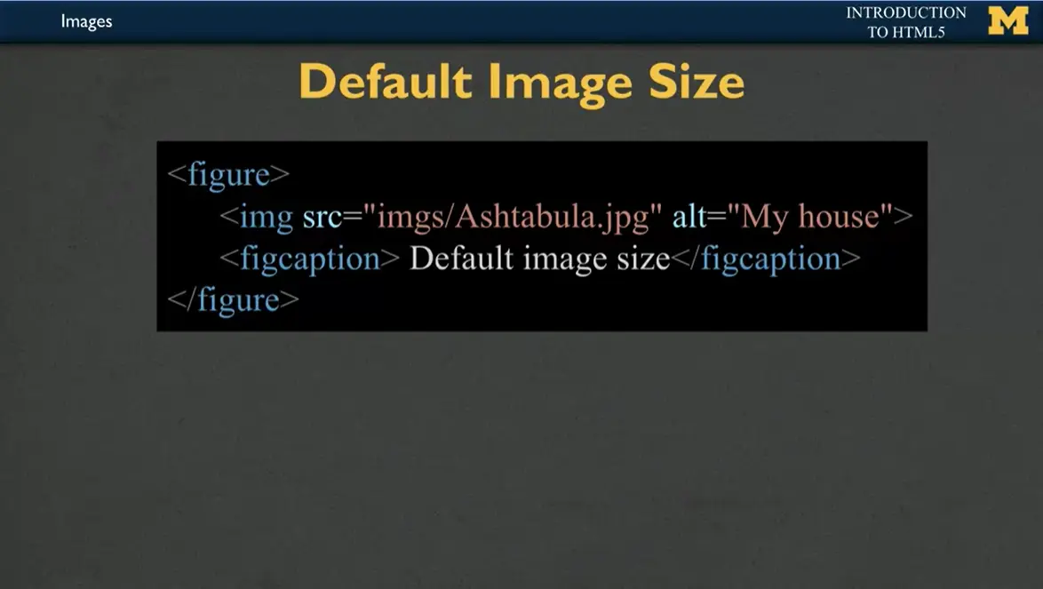 Example, figure, img src, figcaption - default image size.