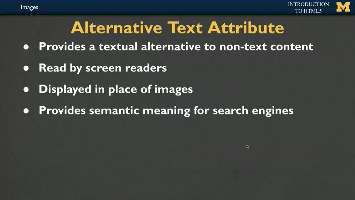 Alternative Text Attribute.